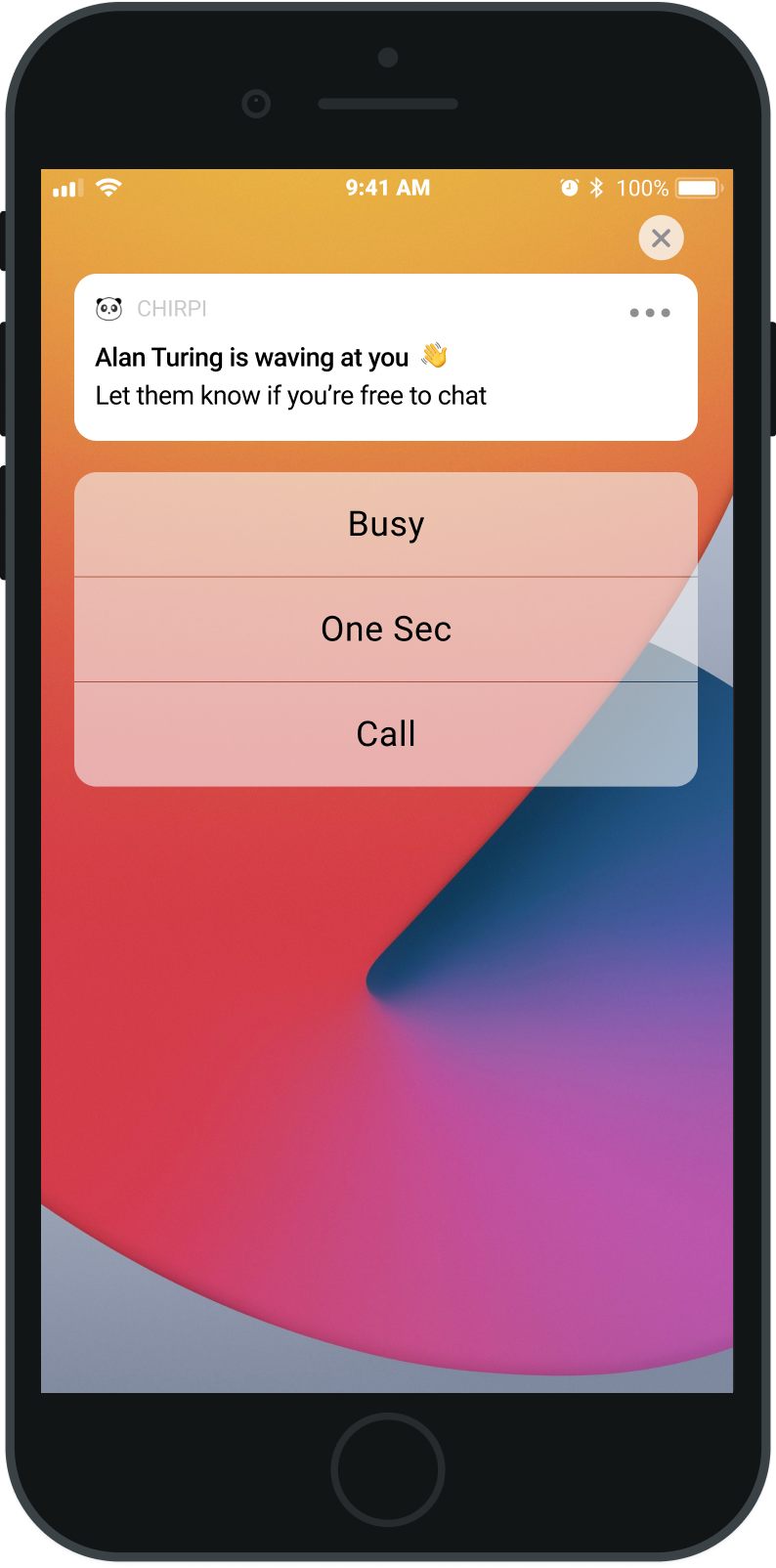 iPhone screen of app